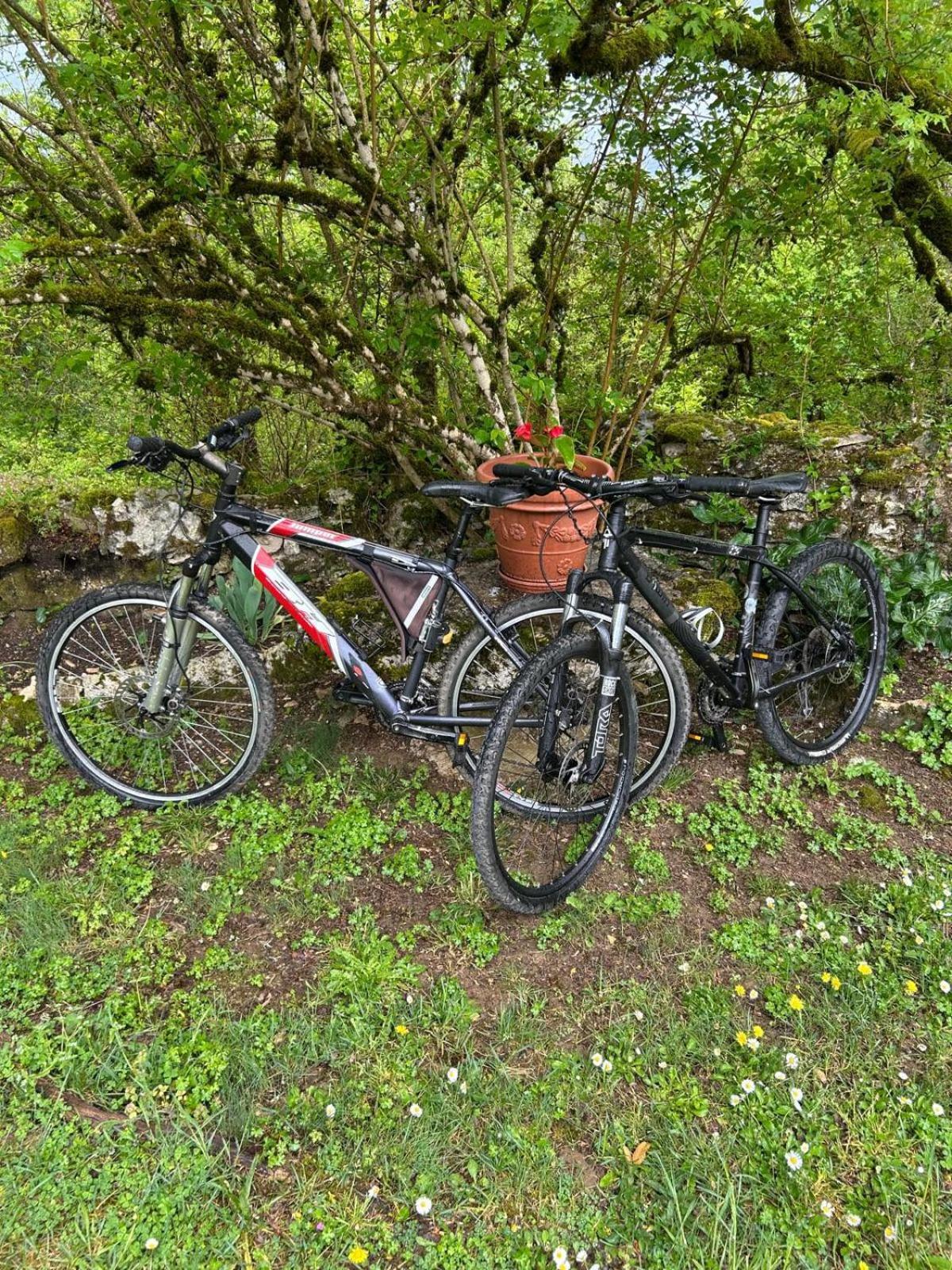 Gite sur le causse de St CHELS, charme sport et détente Saint-Chels Extérieur photo